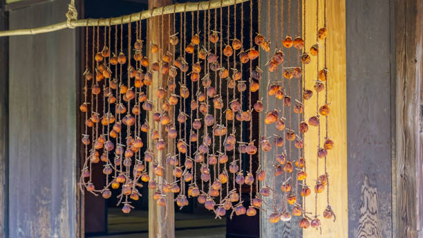 Autumn dried persimmons hanging under the eaves of a farmhouse (Koganei City, Tokyo) Dried autumn persimmons hanging under the eaves of a farmhouse on a sunny day in October 2023 in Koganei City, Tokyo 乾物 stock pictures, royalty-free photos & images