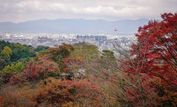istock Autumn scenery in Kyoto, Japan 1751786015