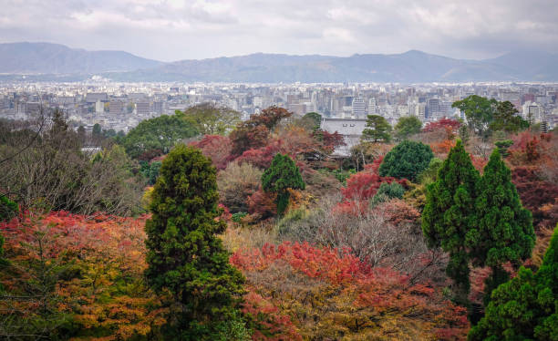 istock Autumn scenery in Kyoto, Japan 1751787123