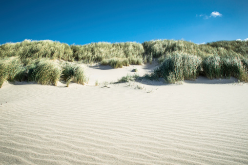 A sand dune with marram grass a the top and blue sky. Some sand waves at the beach because of the windy day. Copy space in the background.