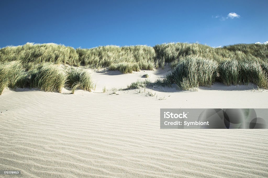 Sand dune A sand dune with marram grass a the top and blue sky. Some sand waves at the beach because of the windy day. Copy space in the background. Beach Stock Photo