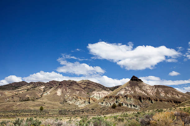 istock Sheep Rock at John Day Fossil Beds National Monument 175179371