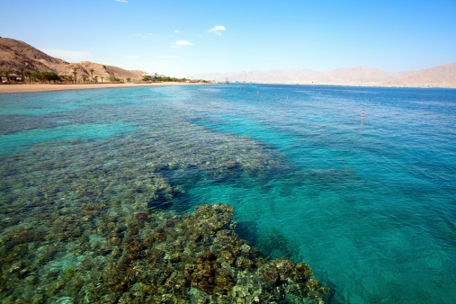 Coral reef in the Red Sea with clear sky in the background