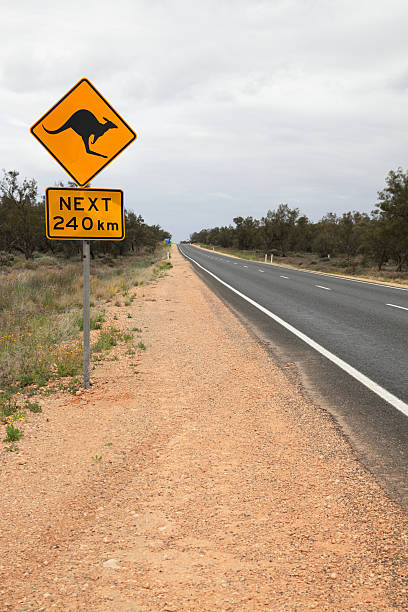 istock Kangaroo road sign in outback Australia 175179872
