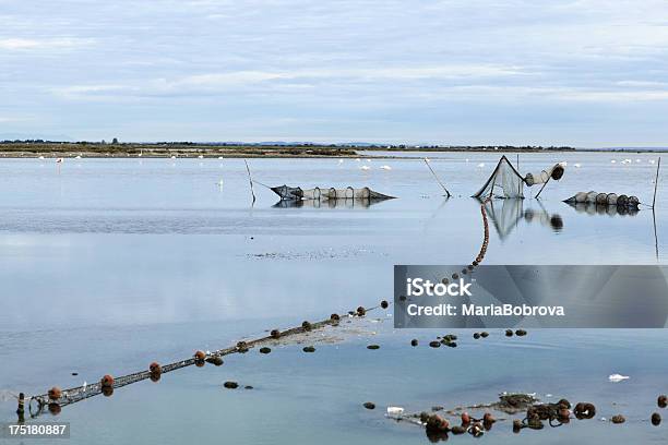 Morgen Camargue Stockfoto und mehr Bilder von Blau - Blau, Camargue, Fischen