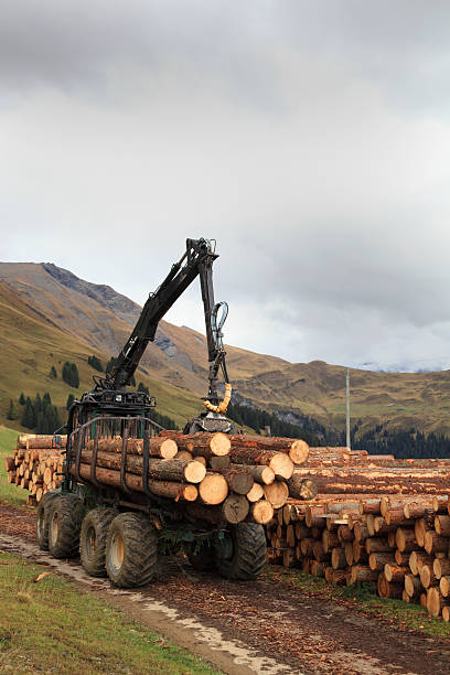 istock logging and forestry in swiss alps 175181746
