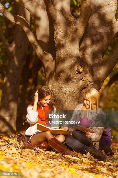 Dos Hermosas Chicas Usando Un Tablet Pc Al Aire Libre Foto de stock y más banco de imágenes de 20 a 29 años