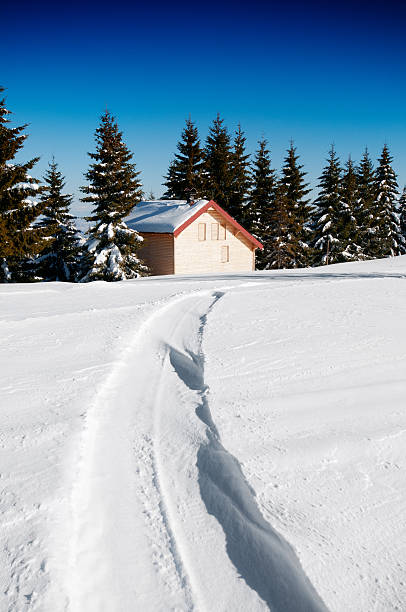 istock Alpine Hut in Snow During Winter 175181879