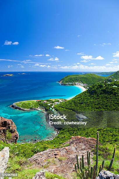 Высокий Угол Зрения Пляж Anse Des Flamands St Barths Fwi — стоковые фотографии и другие картинки Сен-Бартелеми