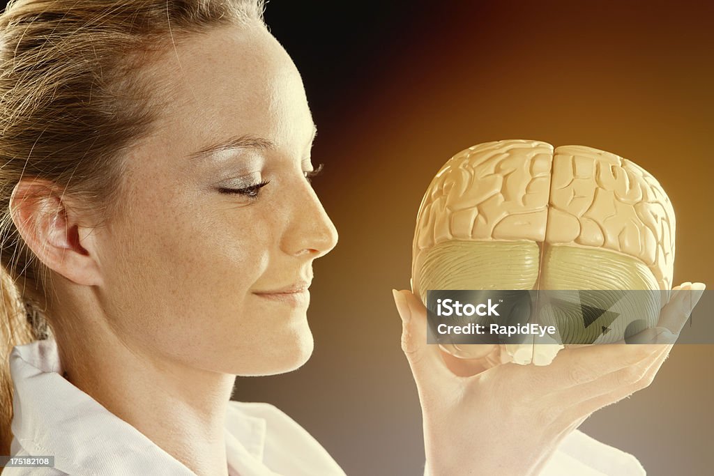Bonita mulher sorri para modelo anatómico do cérebro humano - Royalty-free Adulto Foto de stock