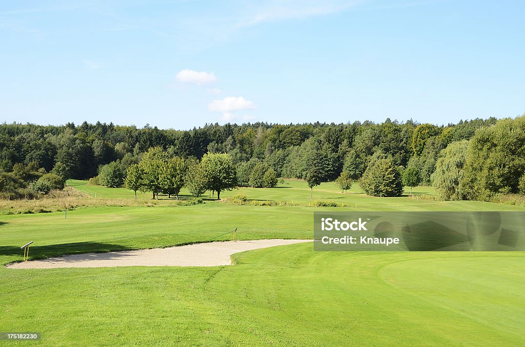Campo da Golf con bunker e alberi - Foto stock royalty-free di Albero