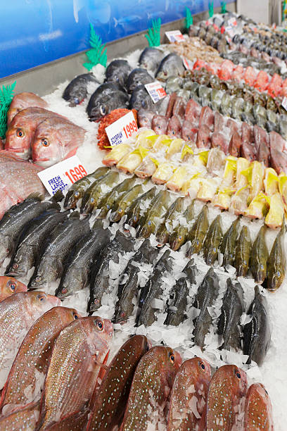 Sydney Fish Market