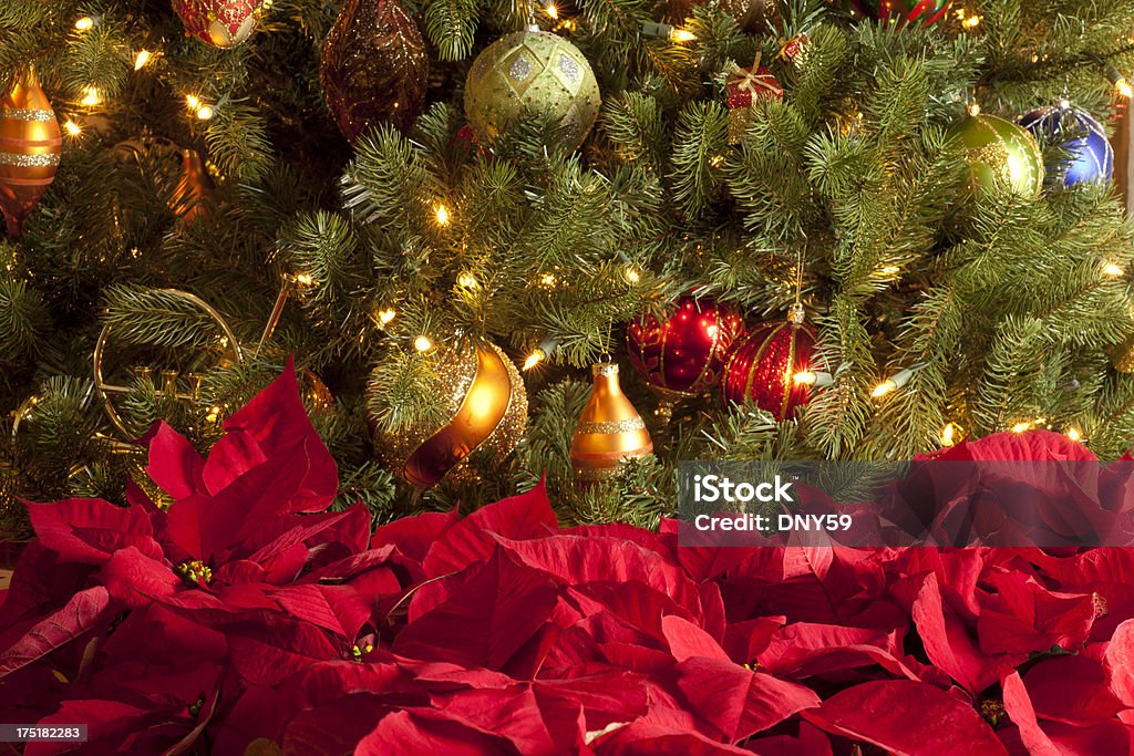 Sapin de Noël - Photo de Arbre libre de droits