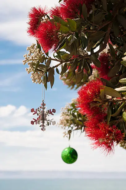 Photo of Christmas in New Zealand