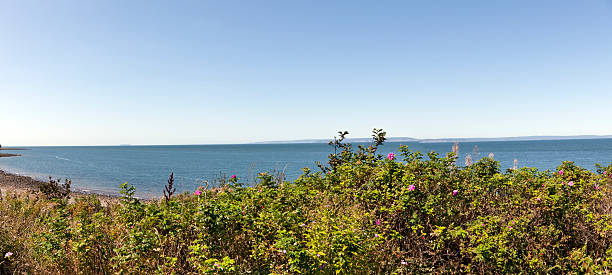 남퐁 펀디 만 - nova scotia bay of fundy bay horizon over water 뉴스 사진 이미지