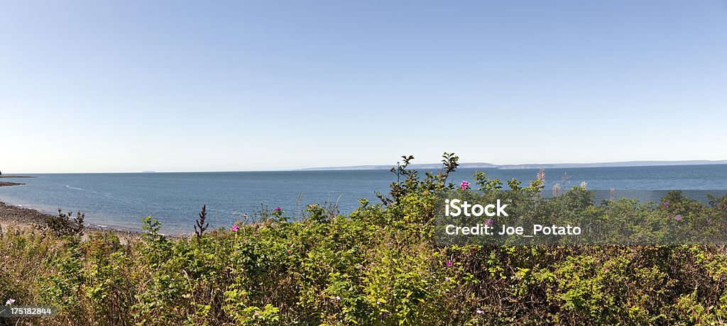 Ponto de vista Baía de Fundy - Royalty-free Arbusto Foto de stock
