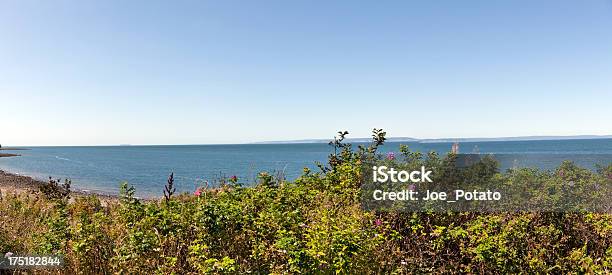 Ponto De Vista Baía De Fundy - Fotografias de stock e mais imagens de Arbusto - Arbusto, Areia, Azul