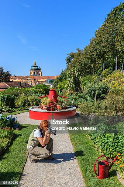 Foto de Stift Melk Áustria e mais fotos de stock de Jardim clássico - Jardim clássico, Jardim ornamental, Azul