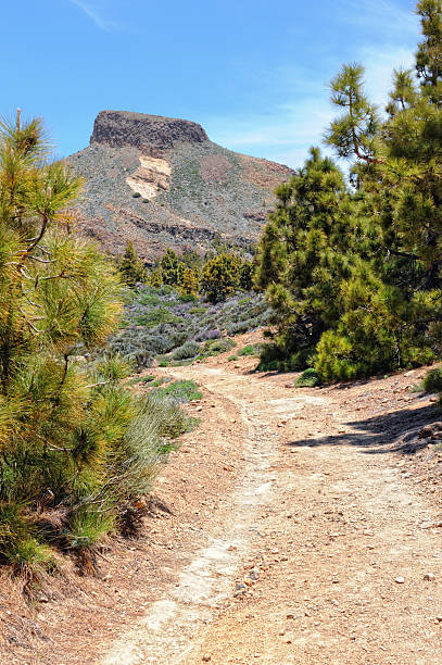 istock Road through el Teide national park in tenerife 175182992