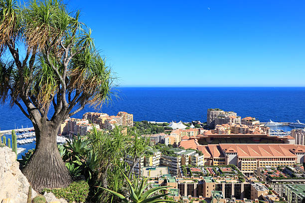 istock Botanical garden above Monte Carlo 175183684