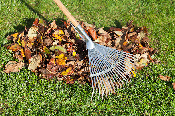 istock Rake, Leaves on Grass in Garden 175184023