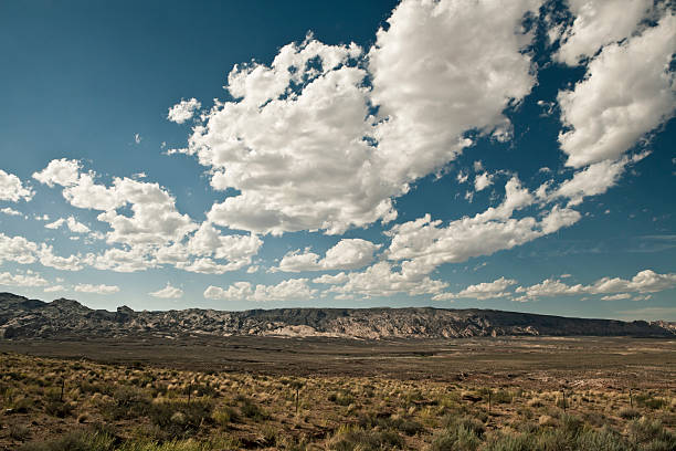 Landscape In USA National Park