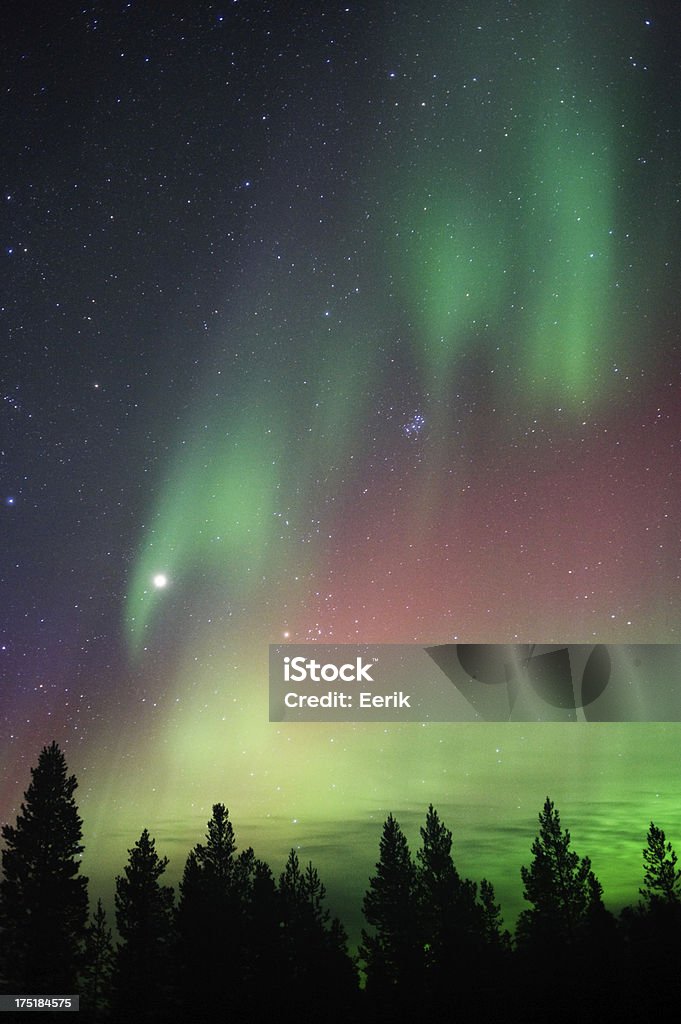 Aurora Borealis, Northern lights - Zbiór zdjęć royalty-free (Zorza polarna północna)