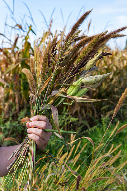 istock Woman's Hand with A Bouquet Of Cut Fall Weeds 175185020
