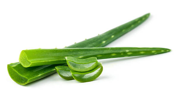 aloe vera - áloe fotografías e imágenes de stock