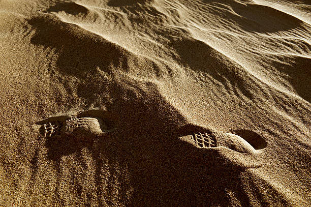 huella en la arena - sand footprint track following fotografías e imágenes de stock