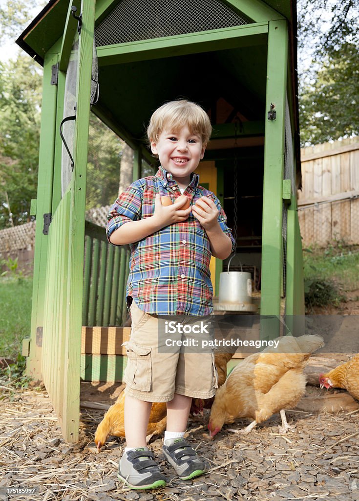 Petit garçon avec des poules jardin - Photo de Agriculteur libre de droits