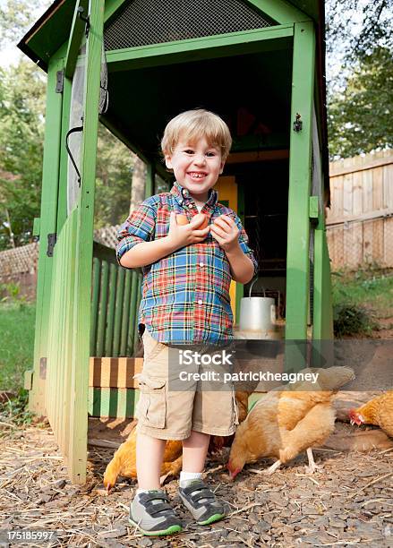 Photo libre de droit de Petit Garçon Avec Des Poules Jardin banque d'images et plus d'images libres de droit de Agriculteur - Agriculteur, Agriculture, Aliment