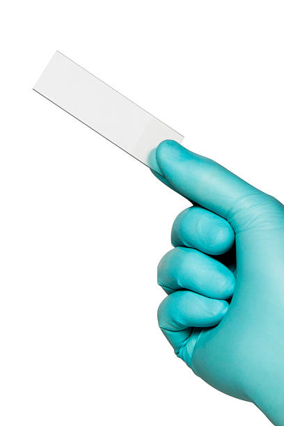 istock Close-up of glass microscope slide held by surgical gloved hand 175186226