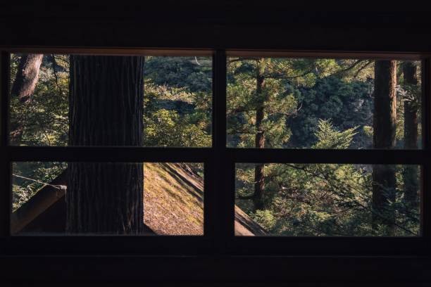istock Out a window onto a lush forest landscape surrounded by trees in Okutama, Japan 1751863093