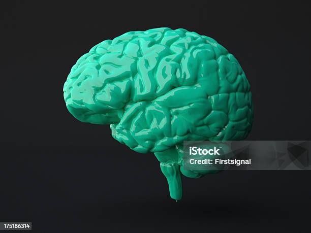 Green Human Brain On Dark Background Stock Photo - Download Image Now - Green Color, Three Dimensional, 3D Scanning