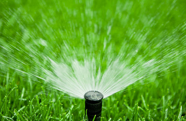 istock Garden Hose Sprinkler 175186764