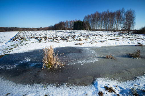 Frozen water and snow on a farm field, view on a sunny winter day, Zarzecze, eastern Poland