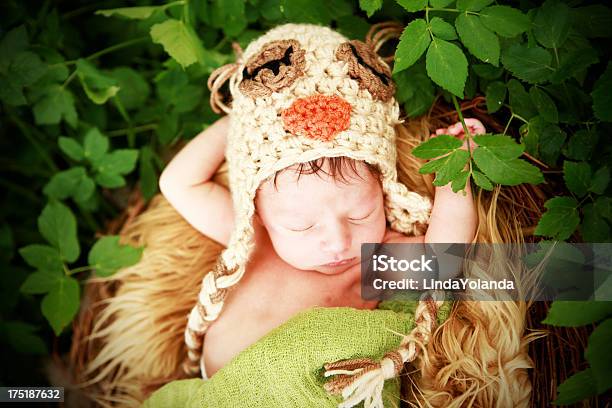 Newborn Baby Wearing Búho Sombrero Foto de stock y más banco de imágenes de 0-1 mes - 0-1 mes, Acostado de espalda, Aire libre