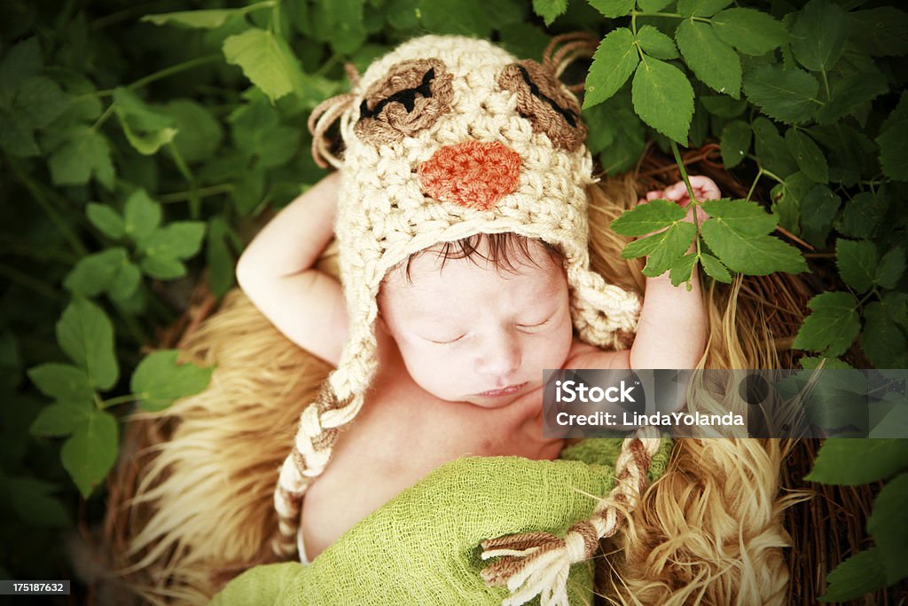 Neonato bambino indossa Cappello Gufo - Foto stock royalty-free di 0-1 Mese