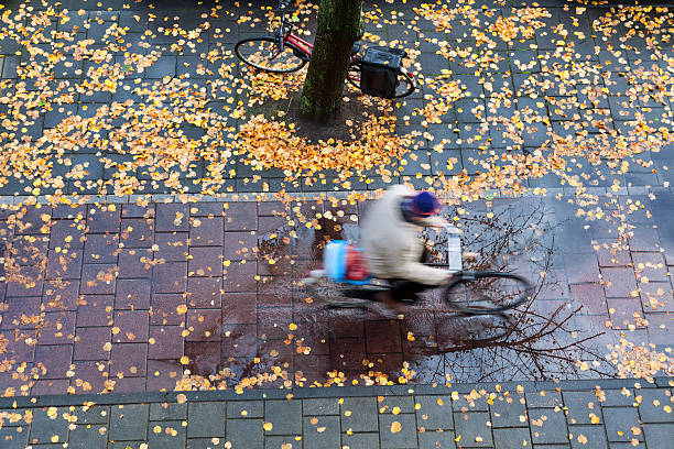 One unrecognizable person with yellow oilskin on bike riding through rainy street in beautiful old alley with trees on rainy day