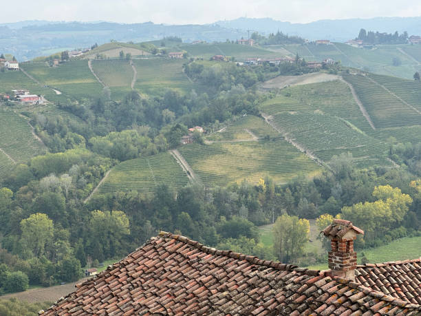 istock Landscape from Langhe-Roero Monferrato 1751880334