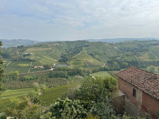 istock Landscape from Langhe-Roero Monferrato 1751880337