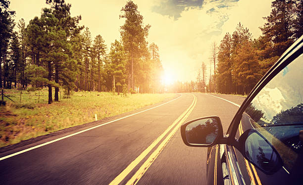 istock Car driving on Sequoia National Park road 175188089