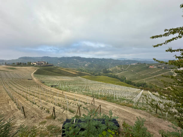 istock Landscape from Langhe-Roero Monferrato 1751881813
