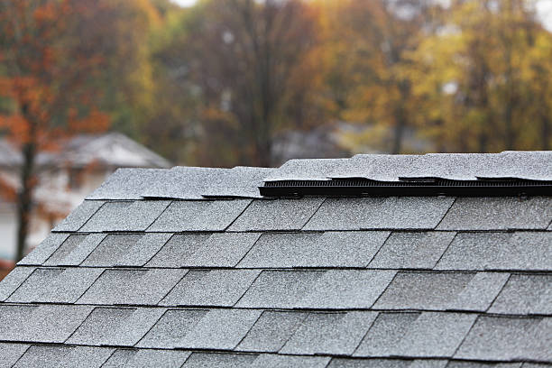 istock Heavy Autumn Rain on New Shingle Roof 175188339