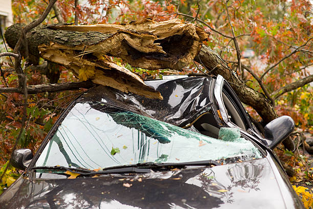 自動車保険 - totaled ストックフォトと画像