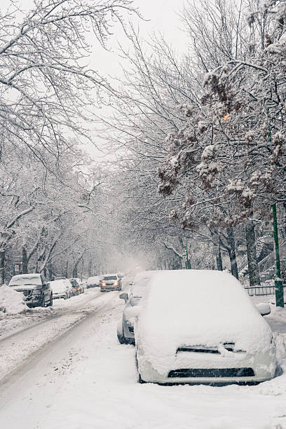 istock Light snowstorm on a small city street, vertical. 175188456