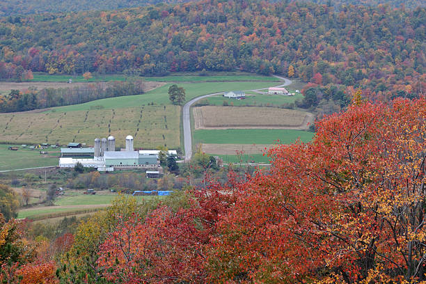 istock Farmland in Maryland 175188572