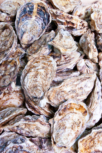 Close-up of a pile freshly caught closed oyster shells.Great seafood background.