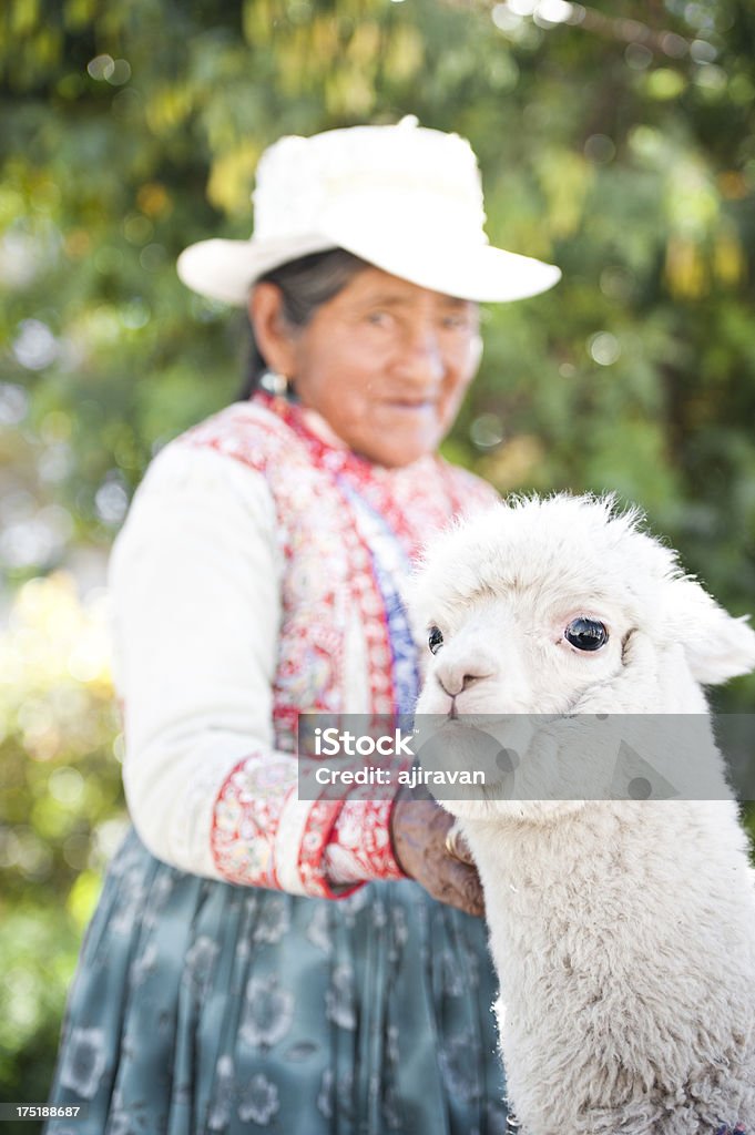 Donna con il suo Alpaca - Foto stock royalty-free di Accudire